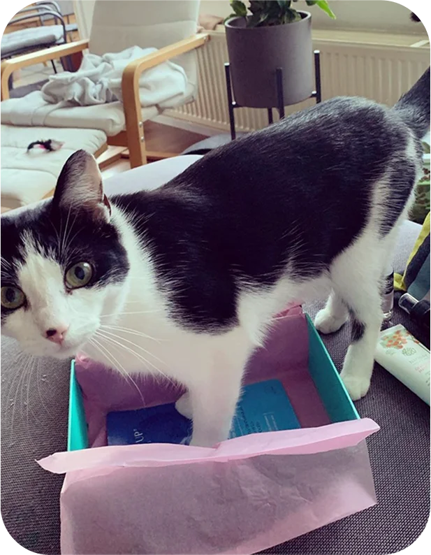 Pet with Goodiebox packaging and tissue paper
